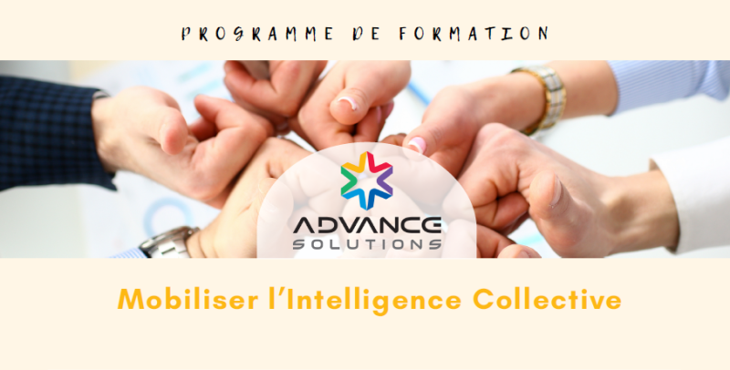 Mobiliser l’Intelligence Collective
